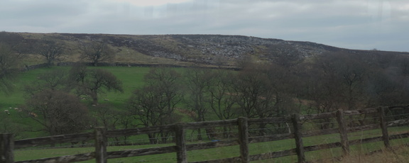 Hillside