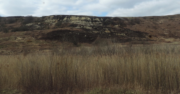Cliffs