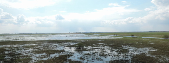 Ouse Washes