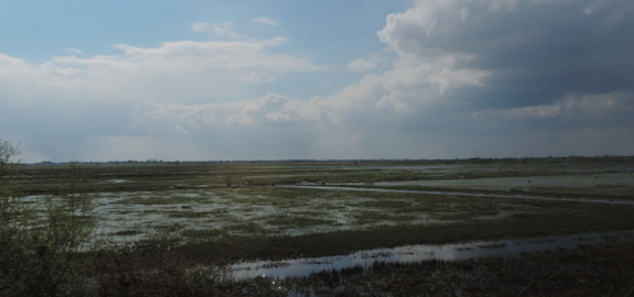 Ouse Washes