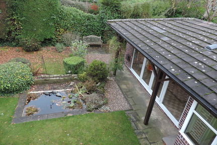 Back garden