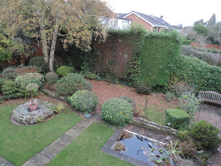 Back garden