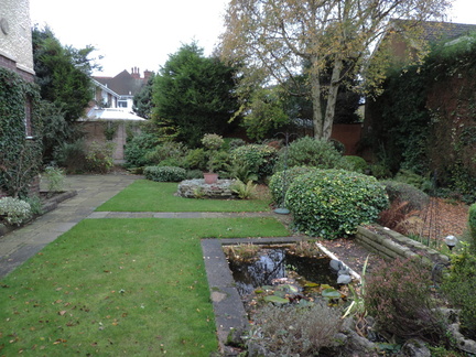 Back garden