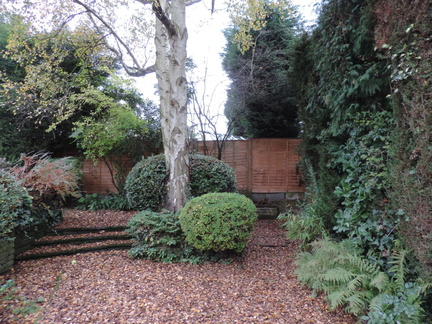 Corner