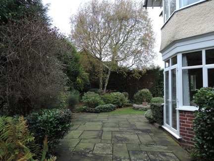 Side of the house