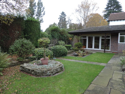 Back garden