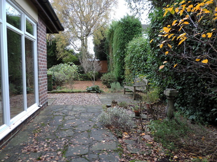 028-BackGarden