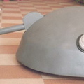 Head