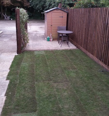 Lawn