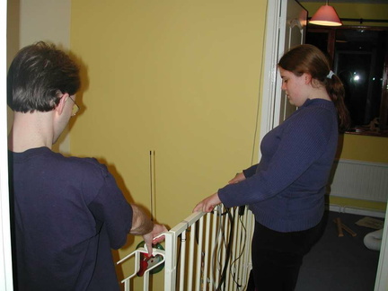 Testing the bannister