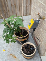 Irrigating