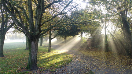 Sunbeams