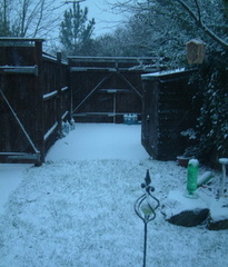 Lawn
