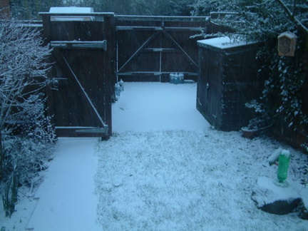 Back garden