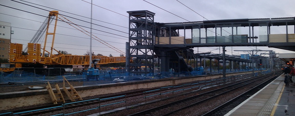 24-Crane