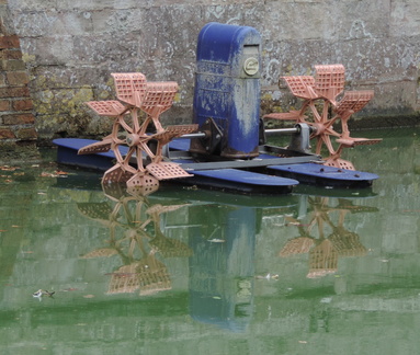 Paddle boat