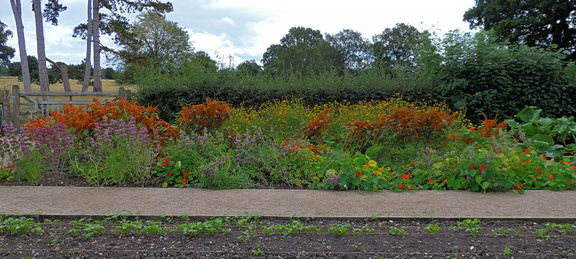 Flower beds