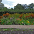 Flower beds