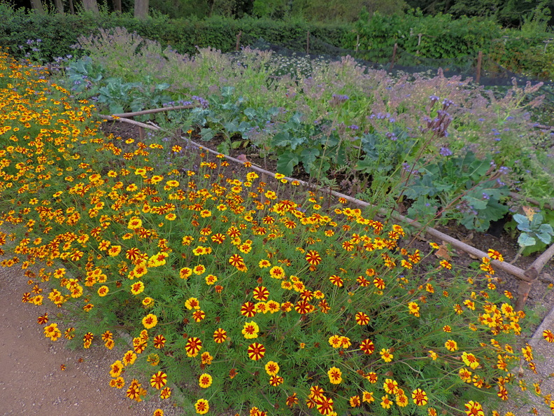 18-Flowers.jpg