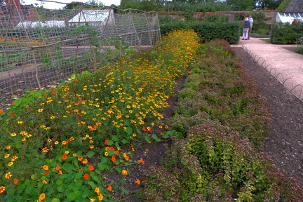 Flower beds