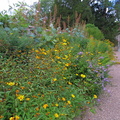 Herbaceous border