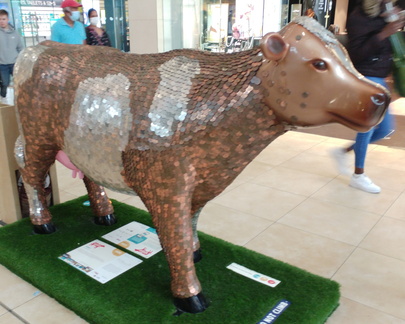 Coin cow