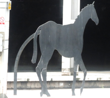Unfortunate horse