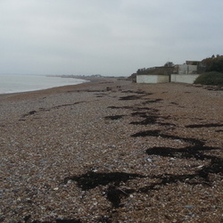Cooden Beach