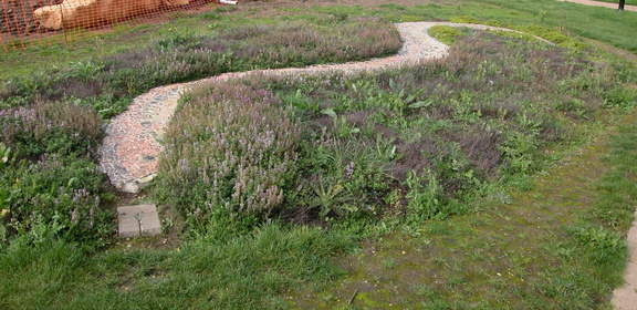 Eel garden