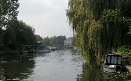 River with trees