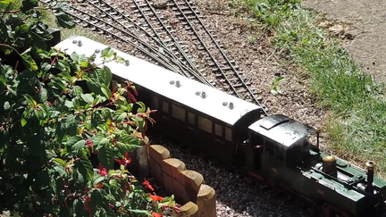 Train
