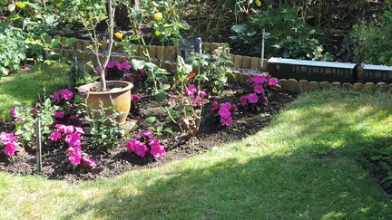 Behind the flowers