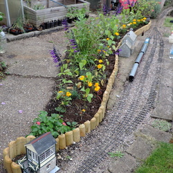 Ely Open Gardens