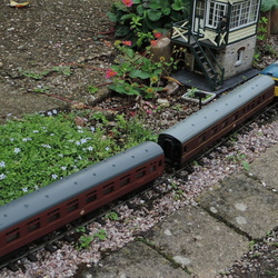 Ely trains