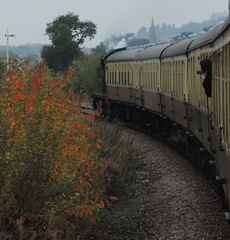 Along the train