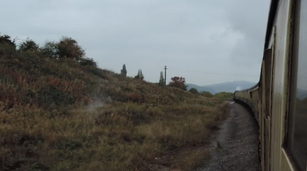 Along the train