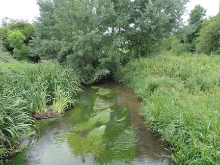 River