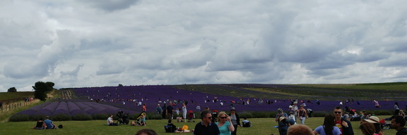 Up the hill