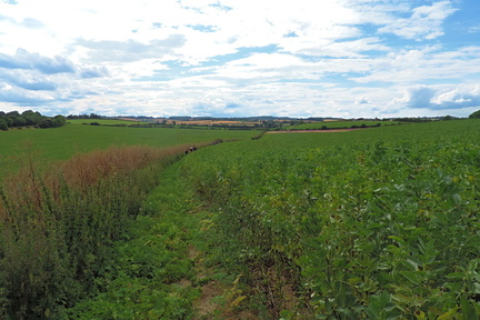 Along the path