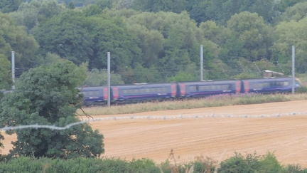 Train