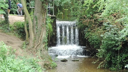 Waterfall