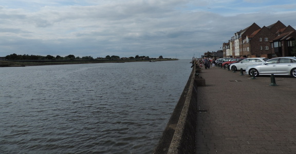 Along the front