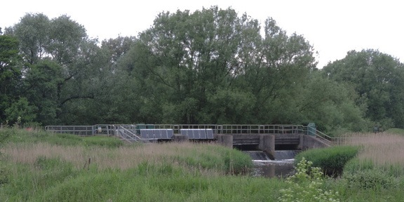 Sluice