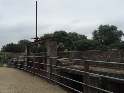 Sluice