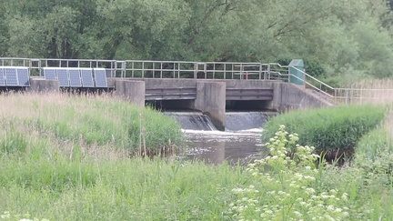 Weir