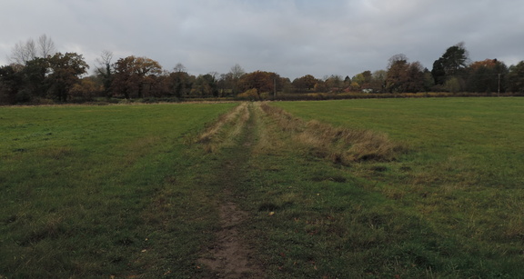 Field