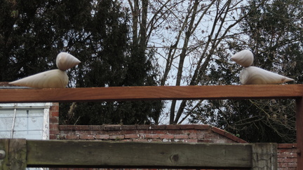 Wooden birds