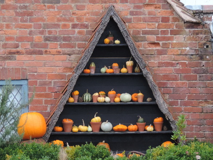 Pumpkins
