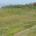 Cliff edge
