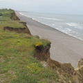 Along the cliffs